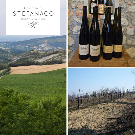 Castello di Stefanago: l’Oltrepò anarchico che vive nel bicchiere