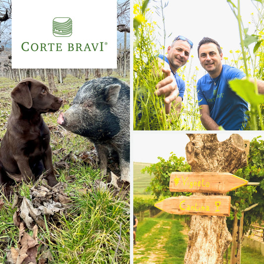 Corte Bravi: biologici in Valpolicella - ILSUCCODUVA.IT