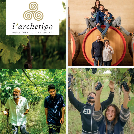 l'archetipo: cuore pugliese del vino dalla coltivazione sinergica - ILSUCCODUVA.IT