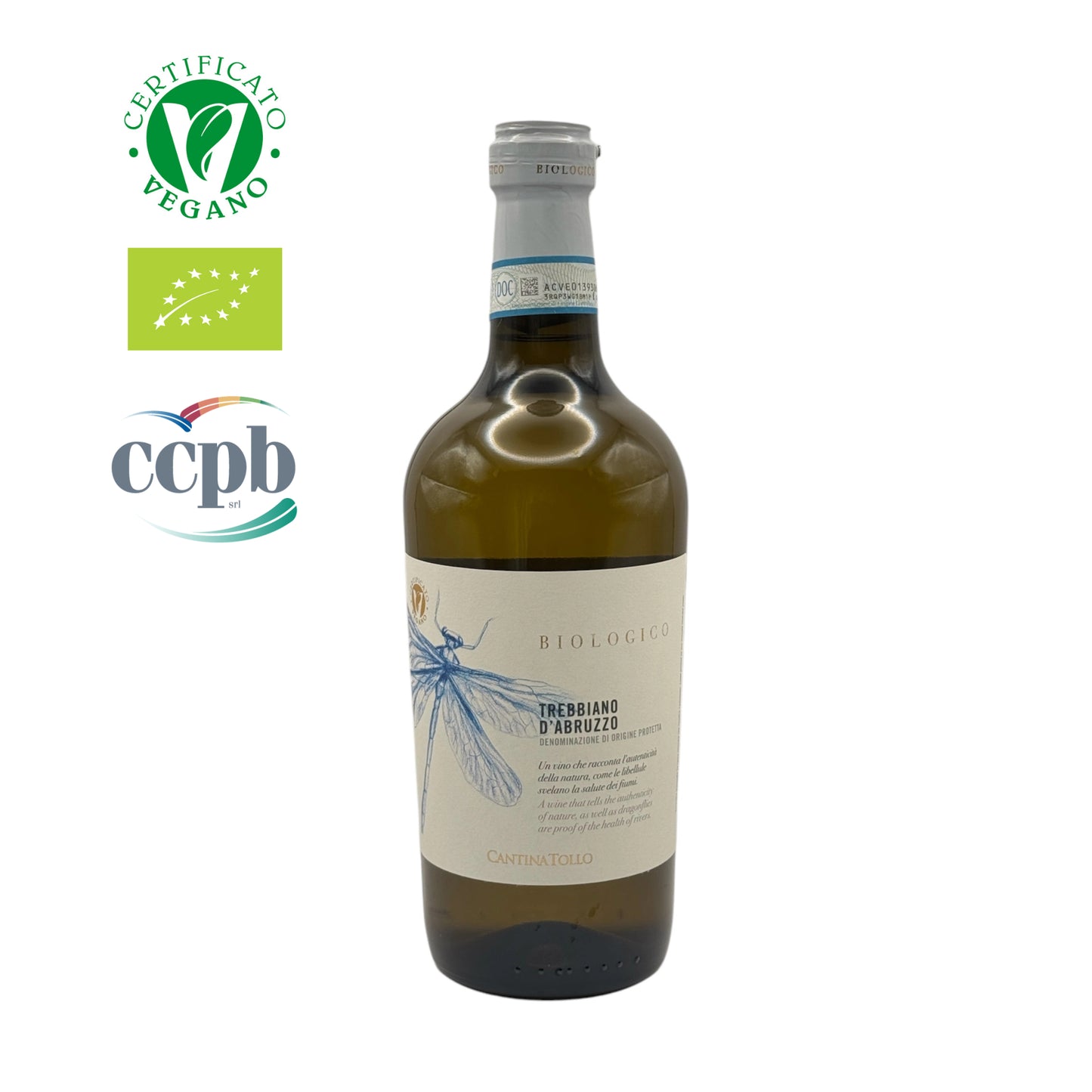 Cantina Tollo - Trebbiano 2024 - Terre d'Abruzzo IGP.