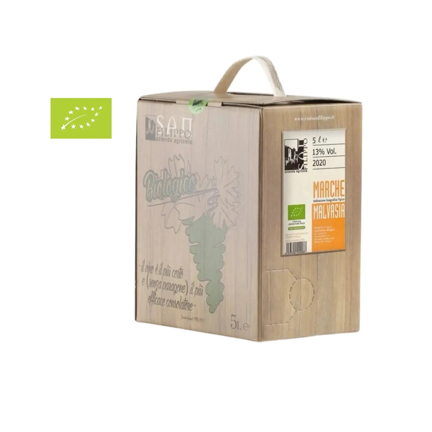 San Filippo Marche Malvasia Orange Wine 2024 San Filippo ILSUCCODUVA
