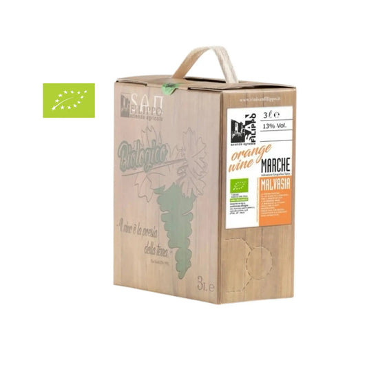 San Filippo Marche Malvasia Orange Wine 2024 San Filippo ILSUCCODUVA