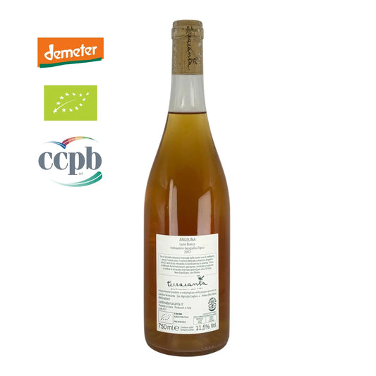 Terracanta - Angelina 2022 - ILSUCCODUVA