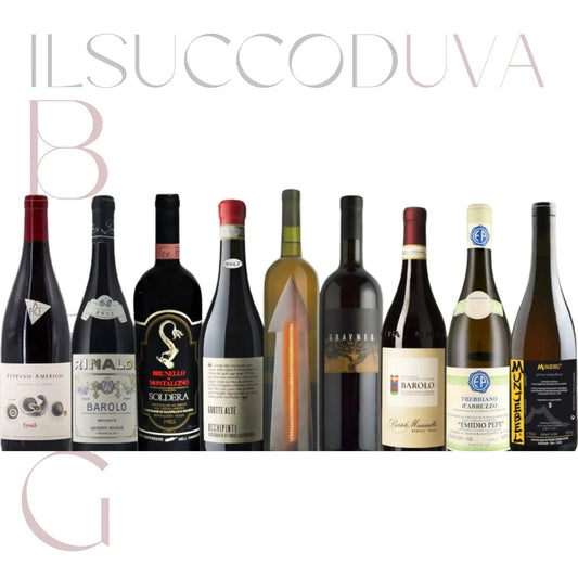 Vini artigianali Italiani: guida completa ai migliori vini italiani tradizionali