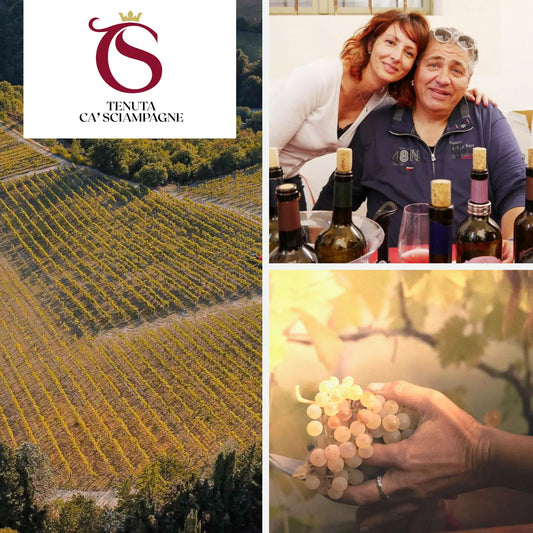 Tenuta Ca Sciampagne: Storia, Metodo Biologico e Produzione Sostenibile 2026 ILSUCCODUVA