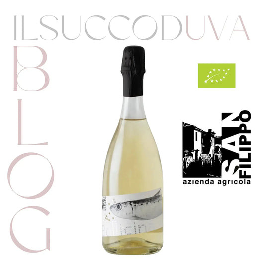 Spumante-Passerina-metodo-Martinotti-caratteristiche-e-produzione-dettagliata ILSUCCODUVA