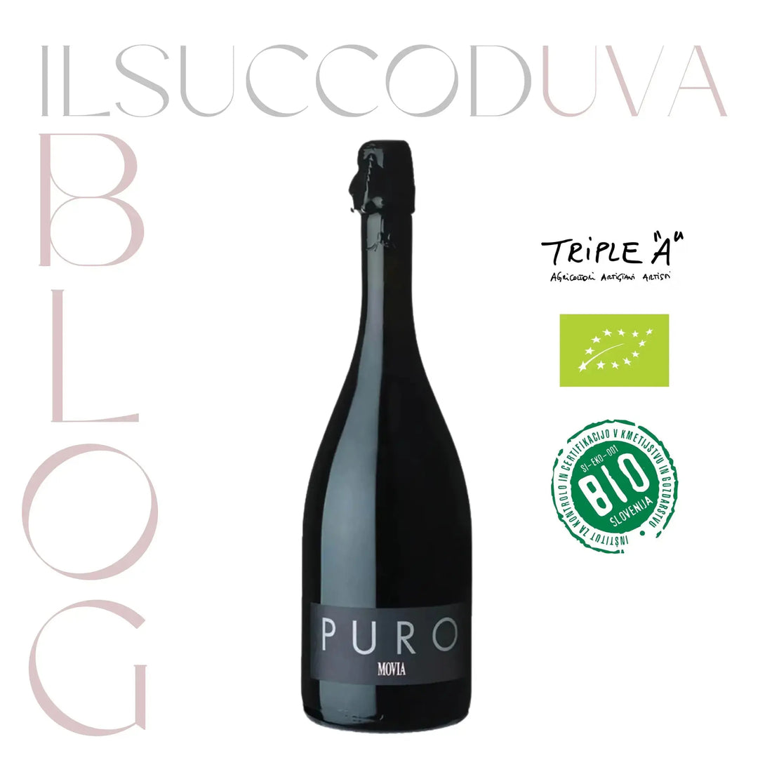 Spumante-Brut-Nature-definizione-guida-completa-alle-sue-caratteristiche ILSUCCODUVA