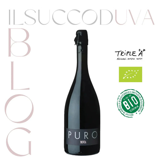 Spumante-Brut-Nature-definizione-guida-completa-alle-sue-caratteristiche ILSUCCODUVA