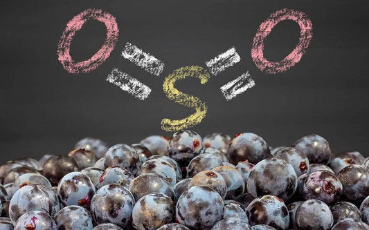 Vini-senza-solfiti-aggiunti-cosa-sono-e-perché-sceglierli ILSUCCODUVA