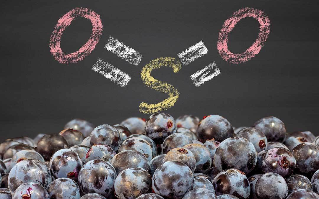Vini senza solfiti aggiunti: cosa sono e perché sceglierli - ILSUCCODUVA.IT