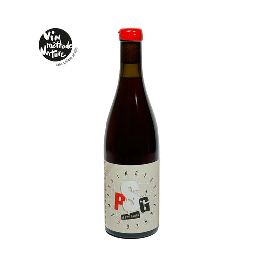 Vista panoramica del dominio del produttore alsaziano PSG tra vigneti incantevoli e paesaggi pittoreschi.