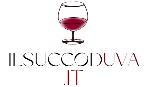 ILSUCCODUVA.IT
